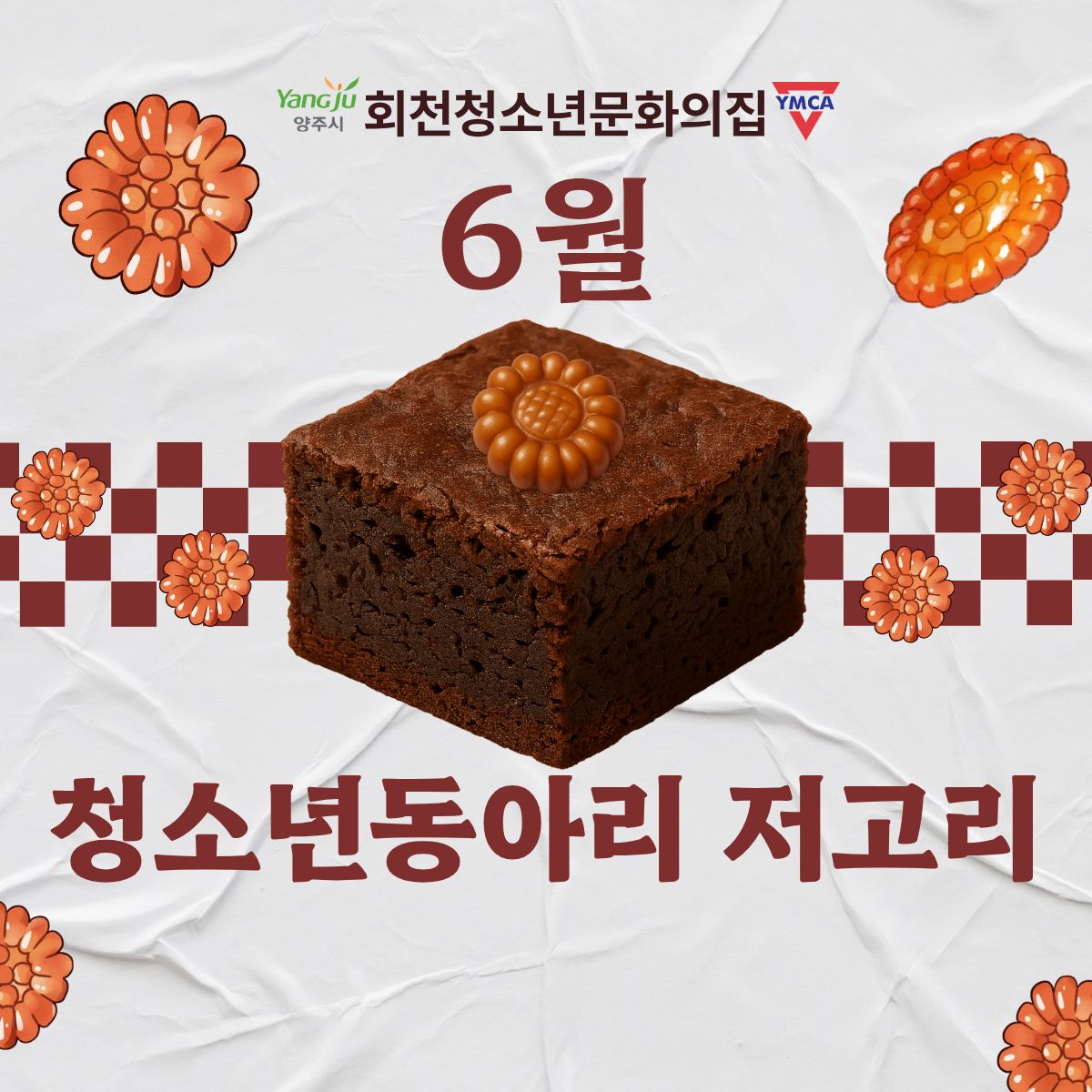 6월 저고리 활동 현황 공유